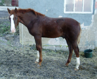 061203a.jpg