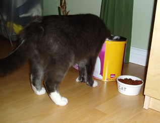 070212a.jpg