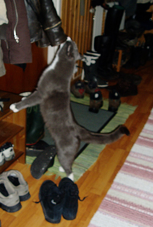 070303b.jpg
