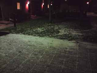 081124a.jpg